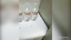 Napoli, ospedale invaso dalle formiche: chiuso il pronto soccorso al San Giovanni