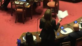 Bagarre in Senato, Bottici (M5S): “Senatori Pd sono delle macchiette”