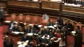 Scontro al Senato sulla Manovra, Malpezzi (Pd): “Questore Bottici mi ha messo le mani addosso”