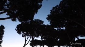 Capodanno, a Roma il concerto delle 100 chitarre al Giardino degli Aranci