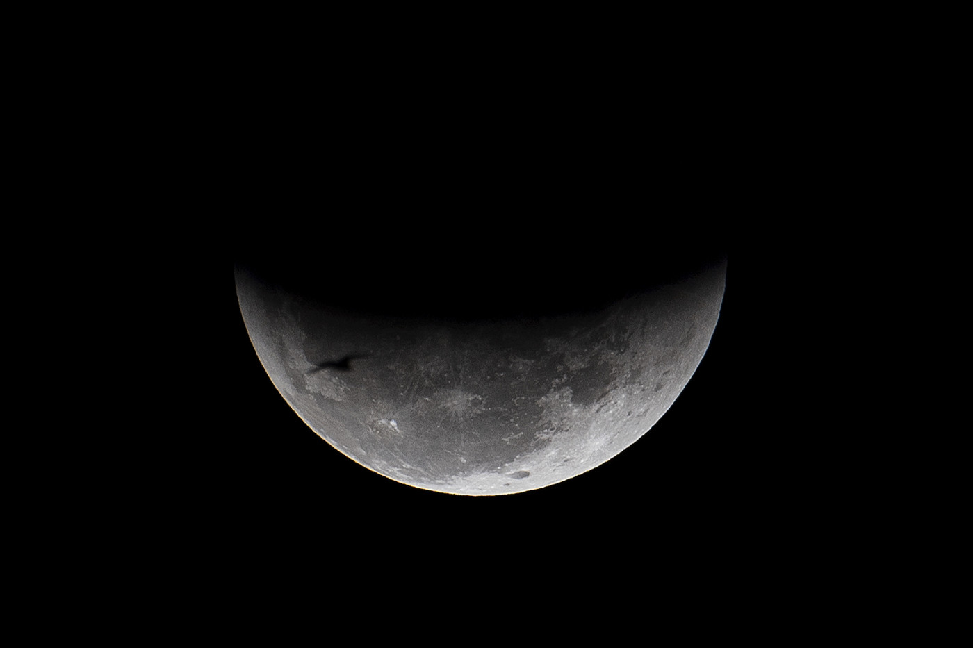 C’è vita sulla Luna: i cinesi fanno germogliare un seme di cotone