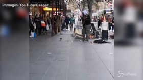 Il piccione balla con il musicista di strada e diventa una star