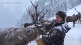 Neve a volontà e animali felici: sembra la Lapponia, invece è l’Austria