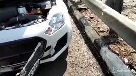 Il passeggero che non ti aspetti: c’è una scimmia nel cofano dell’auto