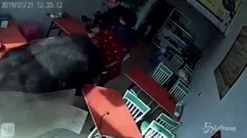 Bufalo infuriato insegue una donna in un ristorante e la incorna