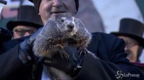 Sarà una bella primavera: lo prevede la marmotta Phil