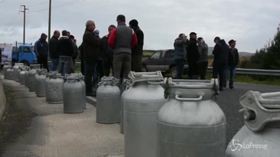 Sardegna, pastori in protesta: “Pochi giorni per concordare il prezzo giusto del latte”