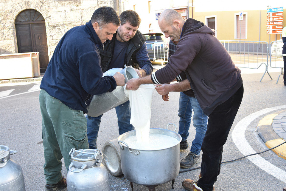 Accordo di tregua sul latte: per i pastori un acconto di 72 centesimi al litro