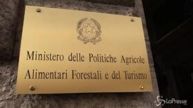 Pastori sardi, al tavolo di Roma non si presentano gli industriali