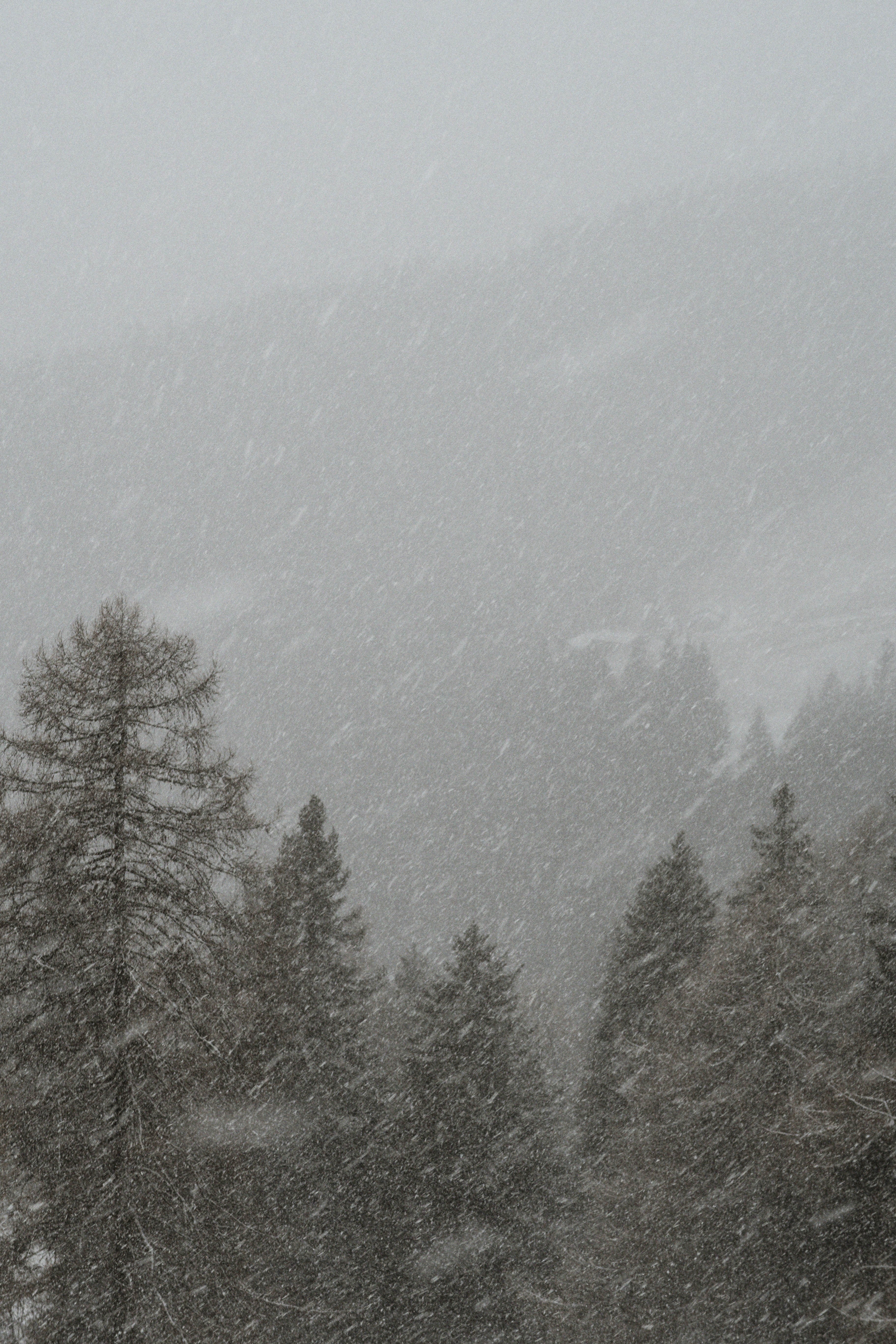 L’inverno sta tornando: il meteo del 22 e 23 febbraio