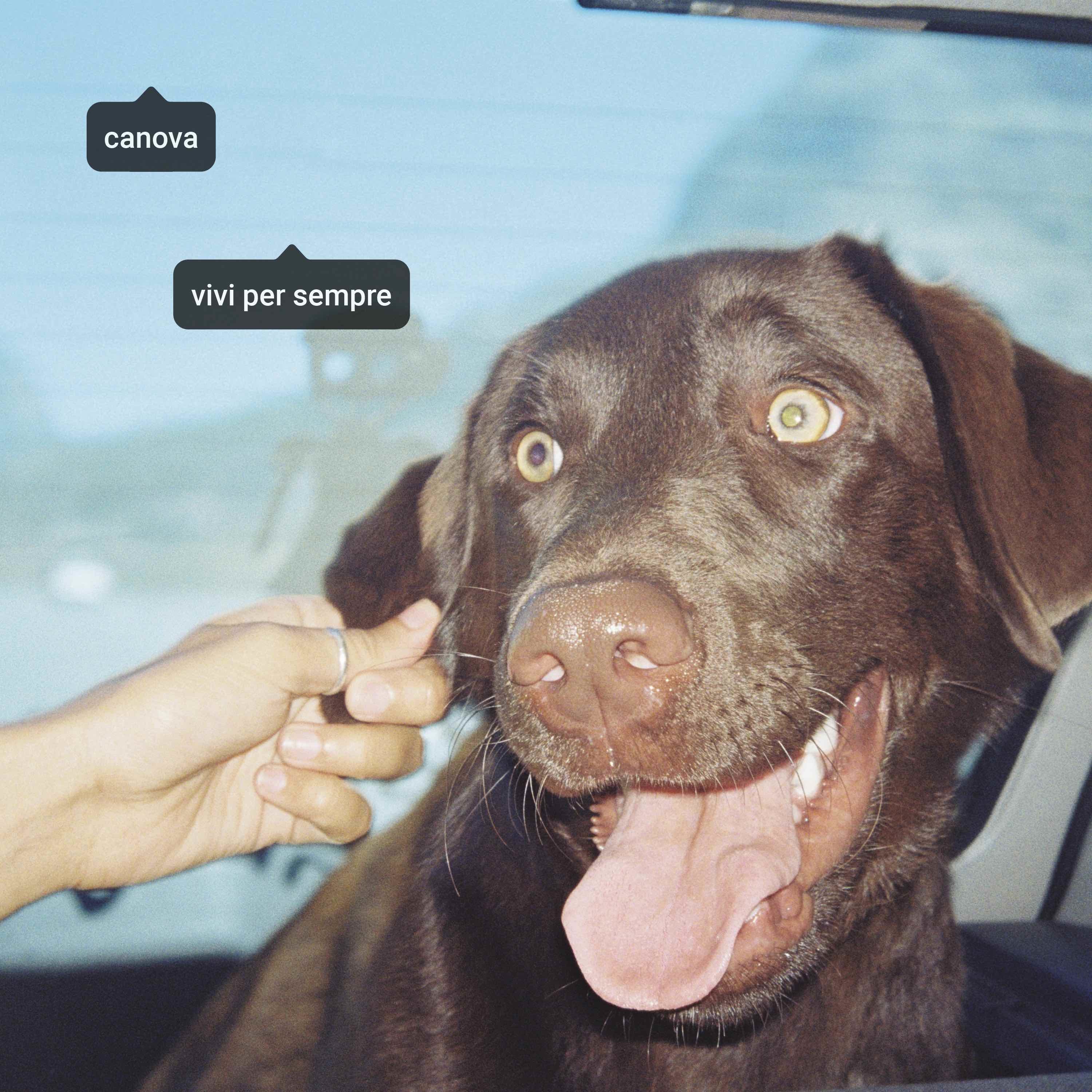 I Canova presentano ‘Vivi per sempre’: “Il nostro nuovo album è un augurio”