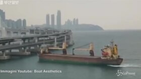Corea del Sud, il comandante è ubriaco: la nave si schianta contro il ponte