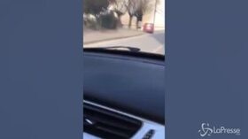 Bellunese, l’auto è impazzita: la corsa finisce contro il municipio