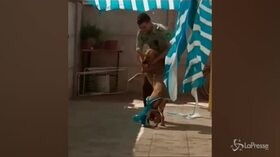 Poliziotto salva un cane intrappolato: l’abbraccio dell’animale è commovente