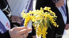 Torino, 8 marzo: flash mob contro la violenza sulle donne