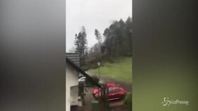 Germania, il vento è fortissimo: gli alberi cadono come birilli