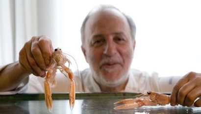 È morto Luciano Zazzeri, lo chef stellato si è tolto la vita