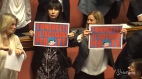 “Toninelli lo facciamo per te”, la protesta di Forza Italia in Senato