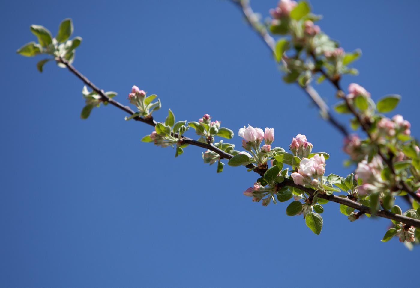 Cielo sereno, ma giù le temperature: il meteo del 28 e del 29 marzo