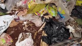 Ue, Europarlamento approva il divieto alle plastiche monouso dal 2021