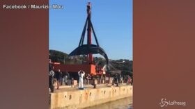 Sardegna, recuperato capodoglio morto: aveva 20kg di plastica nello stomaco