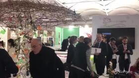 Confagricoltura, Giansanti: “La Cina è una grande occasione per il mondo del vino”
