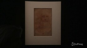 Torino, in mostra i disegni di Leonardo ai Musei Reali