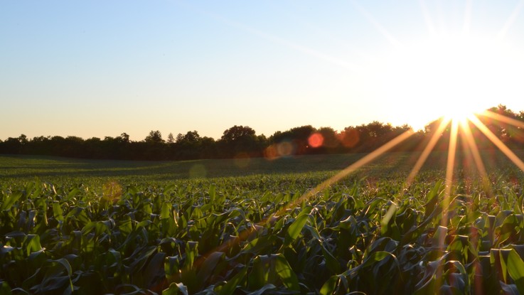 Su le temperature, splende il sole: il meteo del 16 e 17 aprile