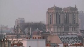 Notre-Dame, la cattedrale alle prime luci dell’alba