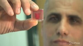 Tel Aviv, ecco il primo cuore stampato in 3d utilizzando tessuto umano