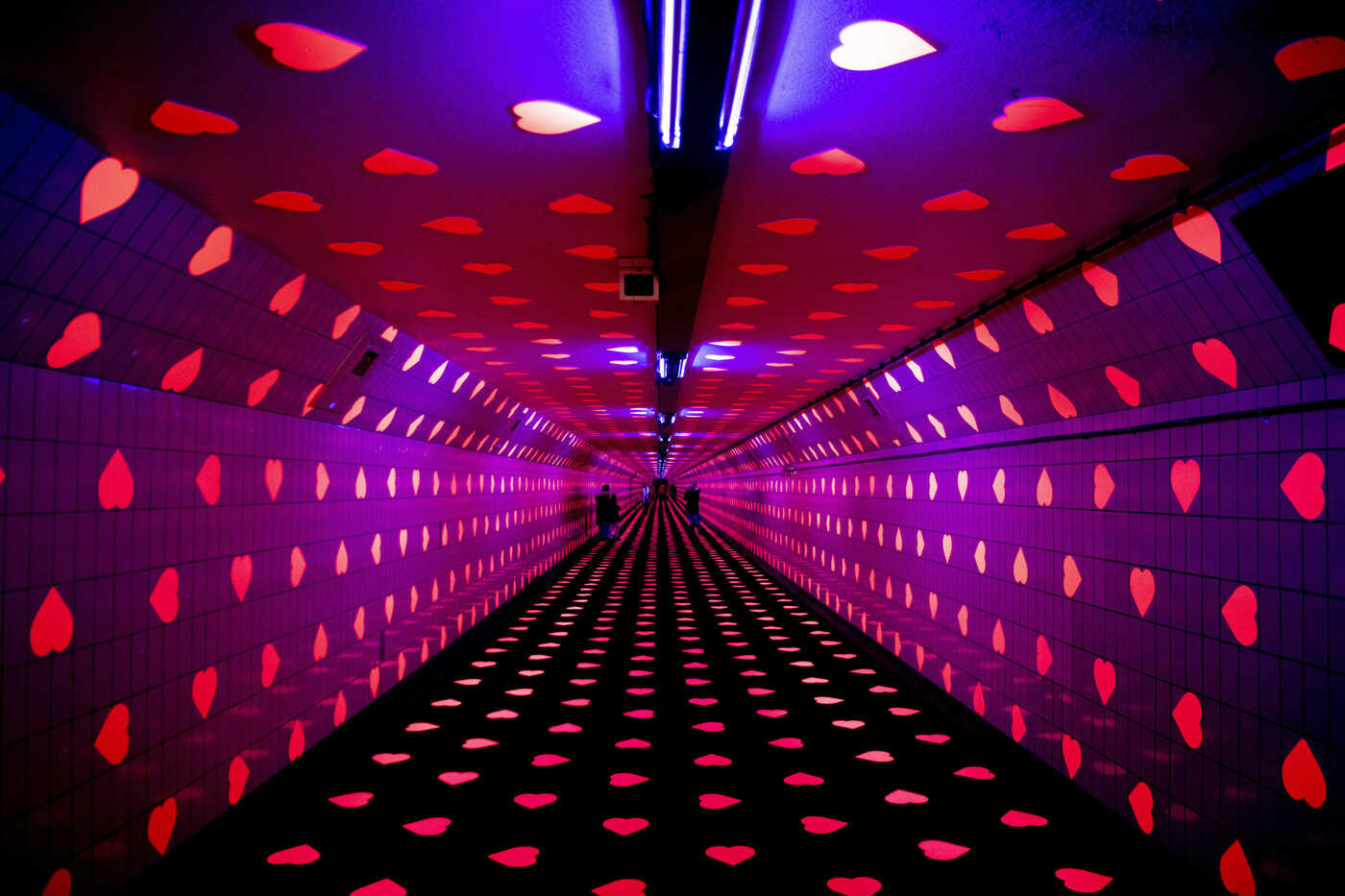 L’oroscopo di domenica 21 aprile: Vergine inquieta in amore