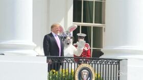 Usa, un coniglio gigante alla Casa Bianca: è l’inizio della Easter Egg Roll