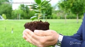 #GreenRamadan: a Torino il mese di digiuno rispetta l’ambiente