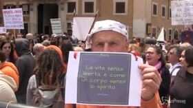 I No Vax in piazza a Roma: “Giulia Grillo, dimettiti”