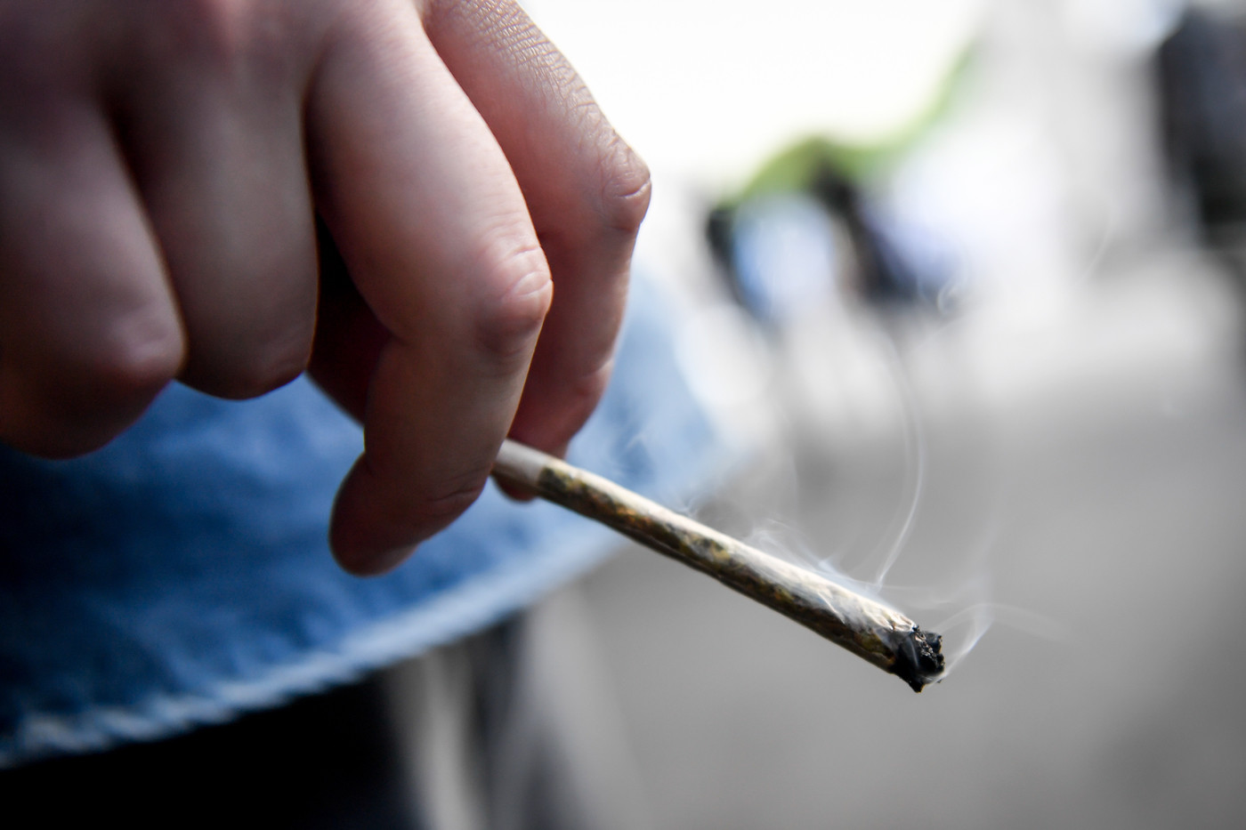 Cannabis, nuovo scontro Salvini-Di Maio. Conte: “Tema non all’ordine del giorno”
