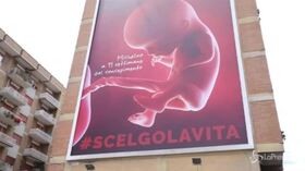 Roma, manifesto choc di ProVita: “Cara Greta, salviamo i cuccioli di uomo”