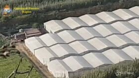 Gela, sequestrate 10mila piante di cannabis: un arresto