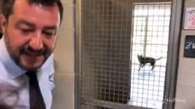 Salvini tra i pitbull a Bari: “Pene più aspre per chi maltratta gli animali”