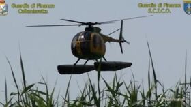 Caltanissetta, mafia nel parco delle Madonie e dei Nebrodi: 12 arresti
