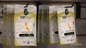 Cassazione, stop alla vendita di derivati della cannabis light