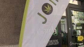 Cannabis light, la rabbia degli esercenti: “Così si aiuta la mafia”