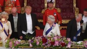Trump non rispetta il protocollo e stringe la mano alla Regina