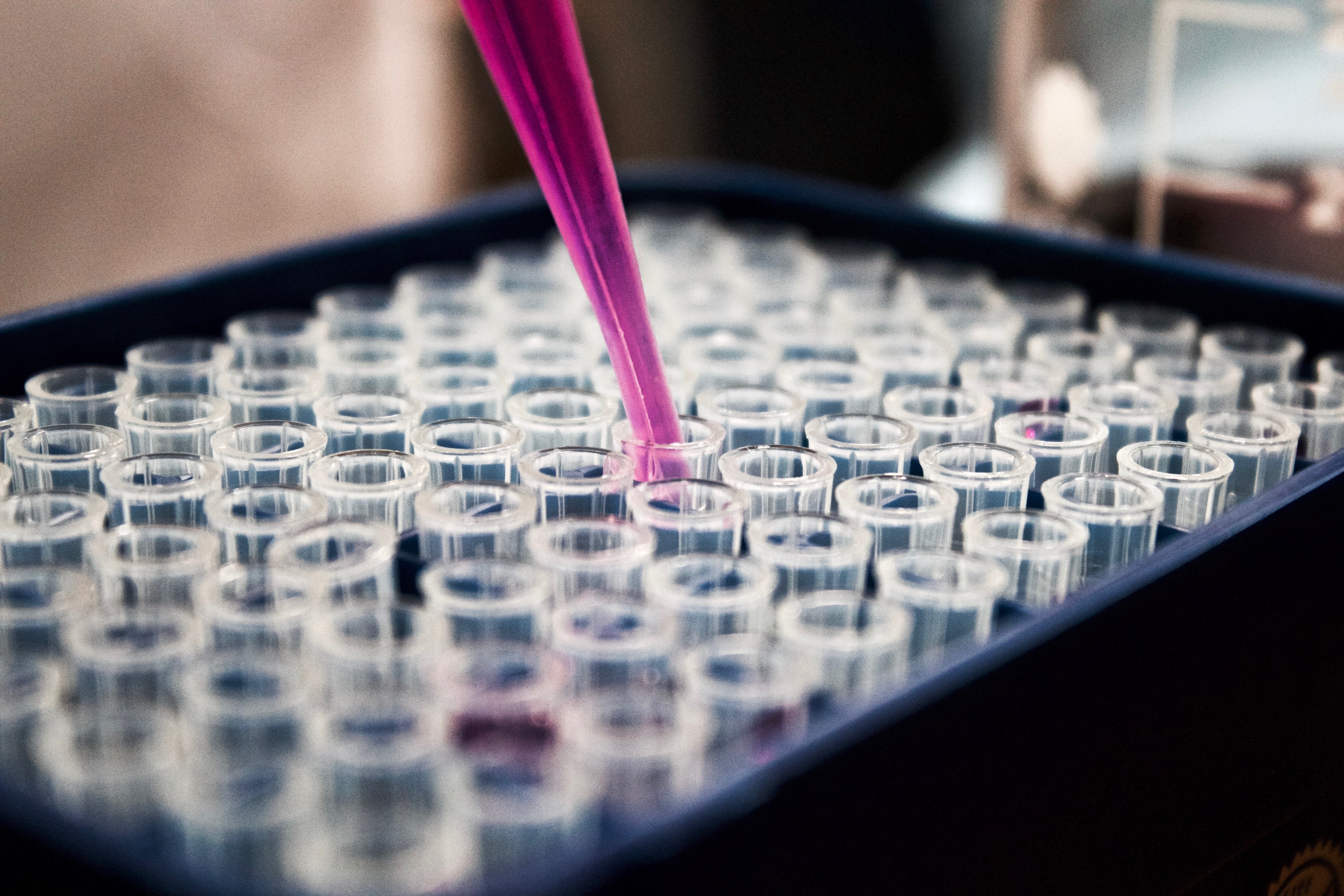 Immunoterapia contro il cancro: ecco il farmaco che stimola la risposta immunitaria contro i tumori