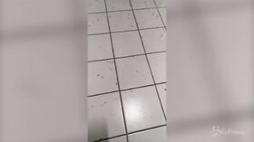 Napoli, formiche al Cto: la videodenuncia sui social