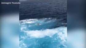 Lo scontro tra battello e traghetto sembra inevitabile: donna si tuffa per lo spavento
