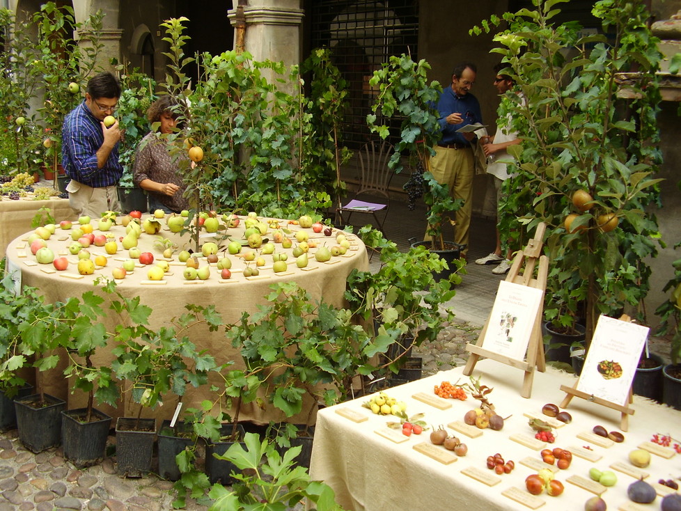 Destinazione Turistica Emilia, un anno di eventi enogastronomici