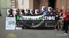 Roma, corteo ambientalista per il clima e contro gli allevamenti intensivi