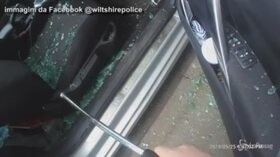 Cane abbandonato in auto senza cibo né acqua: poliziotto spacca il finestrino e lo libera
