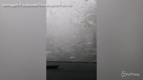 La grandine bombarda il parabrezza dell’auto: distrutto in pochi minuti