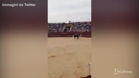 Spagna, muore volontario 60enne incornato da un toro alla corrida